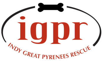 The "Indy Great Pyreneees Rescue" company logo